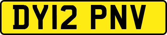 DY12PNV
