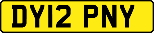 DY12PNY