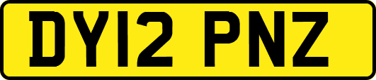 DY12PNZ