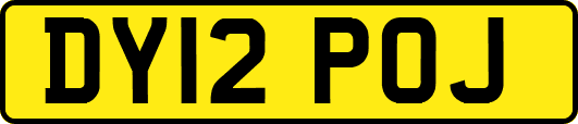 DY12POJ