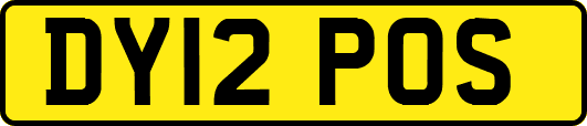 DY12POS
