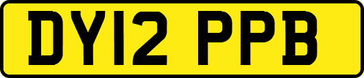 DY12PPB