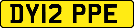 DY12PPE