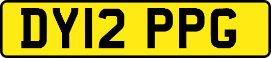 DY12PPG