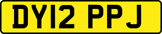 DY12PPJ