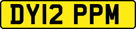 DY12PPM
