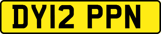 DY12PPN