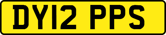 DY12PPS