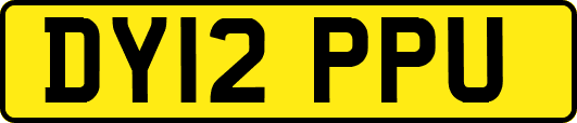 DY12PPU