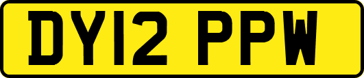 DY12PPW
