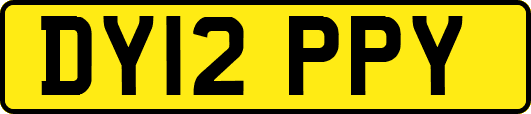 DY12PPY