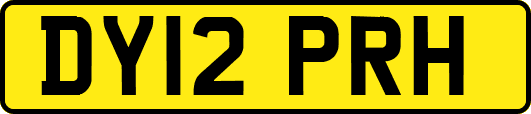 DY12PRH