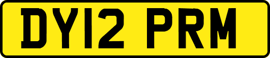 DY12PRM
