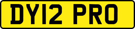 DY12PRO