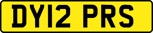 DY12PRS