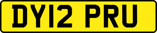 DY12PRU