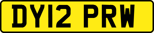DY12PRW