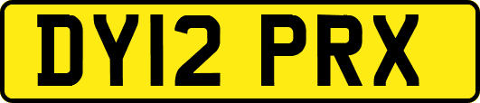 DY12PRX