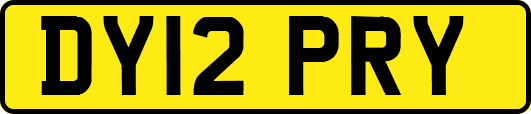 DY12PRY