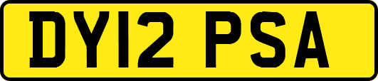 DY12PSA