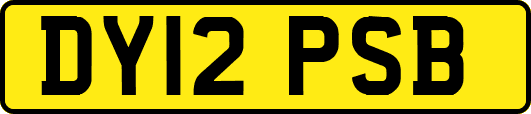 DY12PSB