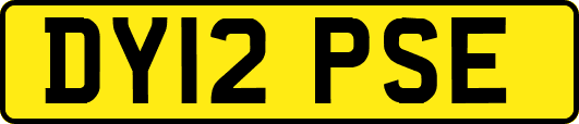 DY12PSE