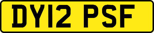 DY12PSF