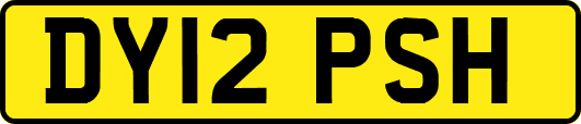 DY12PSH