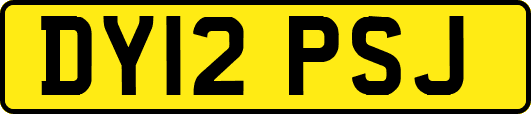 DY12PSJ