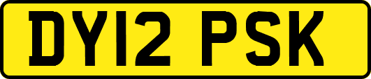 DY12PSK
