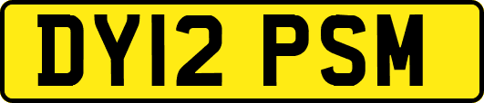 DY12PSM