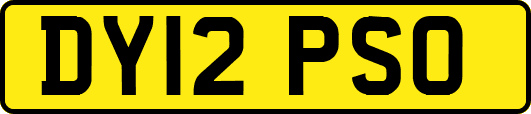 DY12PSO