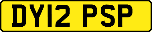 DY12PSP