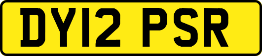 DY12PSR