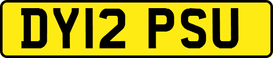 DY12PSU