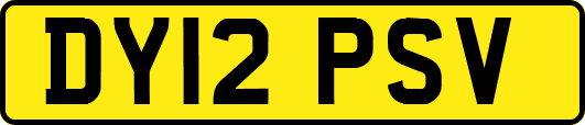 DY12PSV