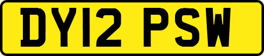 DY12PSW