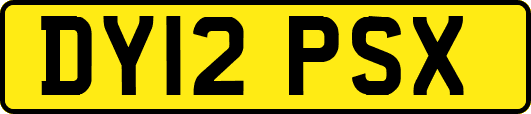 DY12PSX