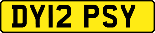 DY12PSY