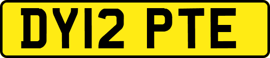 DY12PTE