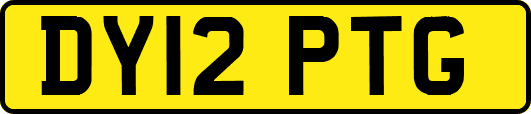 DY12PTG