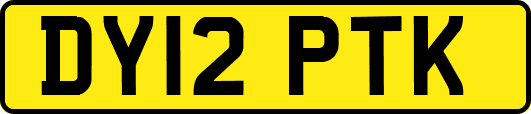 DY12PTK