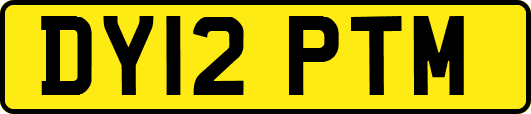 DY12PTM