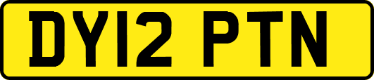 DY12PTN