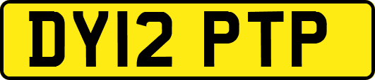 DY12PTP