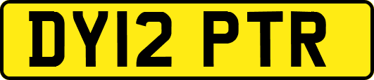 DY12PTR