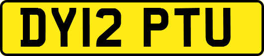 DY12PTU