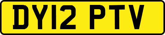 DY12PTV