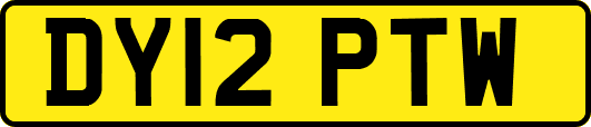 DY12PTW