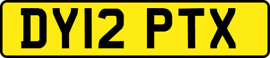 DY12PTX